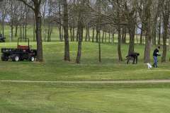 3c505cec-62da-4713-98d5-35fef162c076