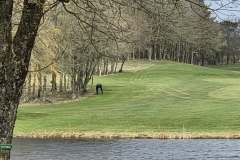 9f5105f8-72a9-4ffd-8249-c072b1eef638