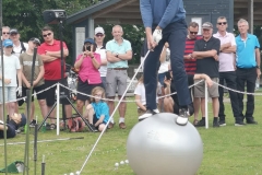 65283682_641581019655189_6346846616963514368_n