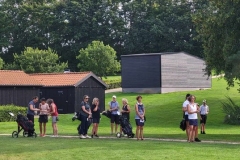 457796716_1192555055295059_4199643522620306333_n