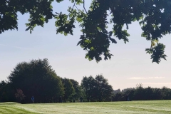 460182174_511326058422758_8337107051023504292_n