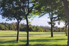 461729978_8565832250164351_4744027449035456638_n