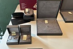 461779475_1037534325046477_6208245561851720816_n