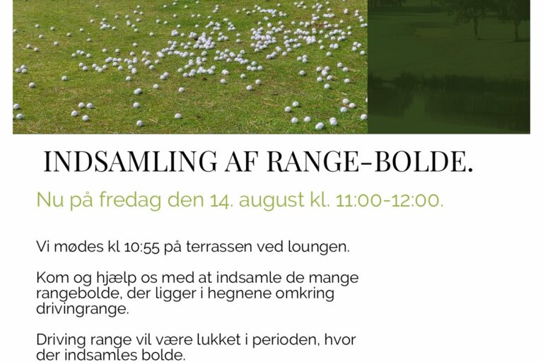 Boldindsamling Aug 2026